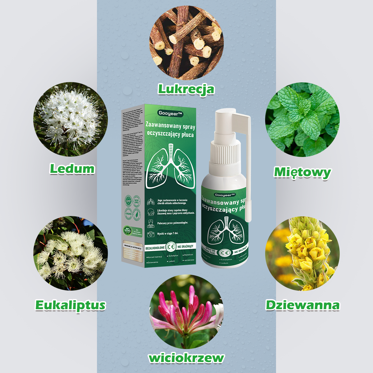 Gooyeer™ Zaawansowany spray do oczyszczania płuc✨ – zdrowe płuca, wsparcie odporności, detoksykacja i łatwiejsze oddychanie – Certyfikat CE